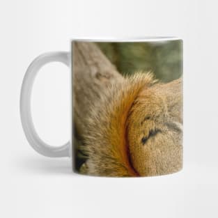 Red Squirrel Mug